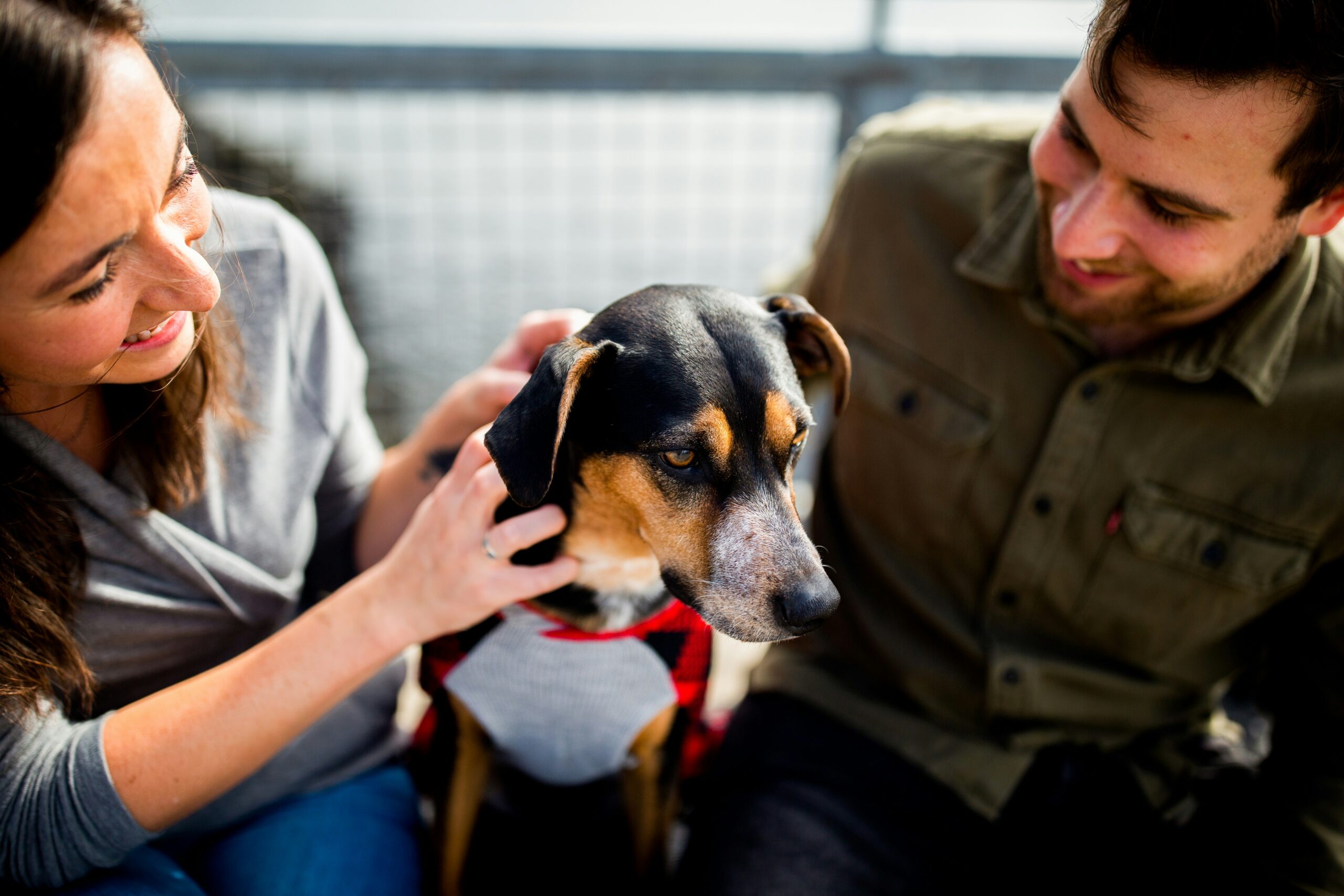 Couple réfléchissant à l’adoption d’un chien selon leur mode de vie