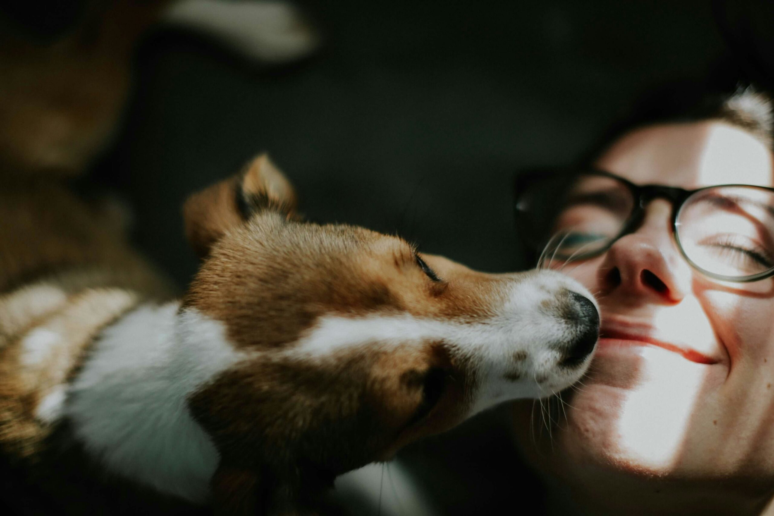 chien lèche son maître