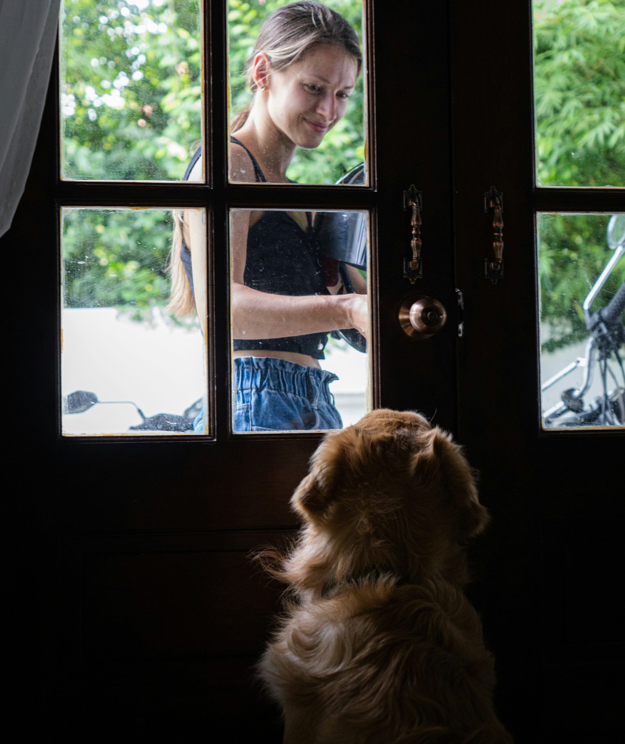 chien seul à la maison regardant sa maîtresse derrière la porte