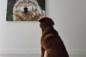 un chien en pleine introspection observe attentivement une peinture d'un ancêtre loup