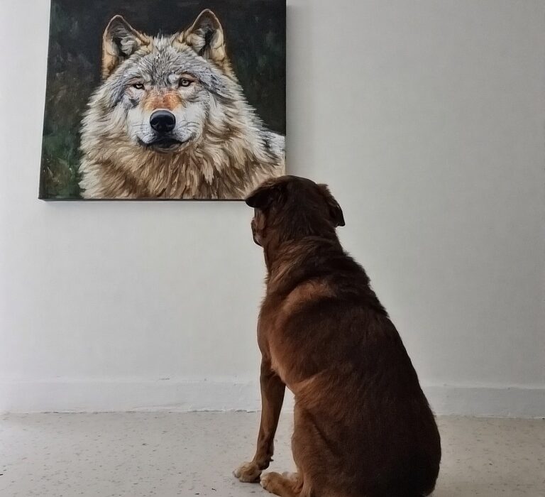 un chien en pleine introspection observe attentivement une peinture d'un ancêtre loup